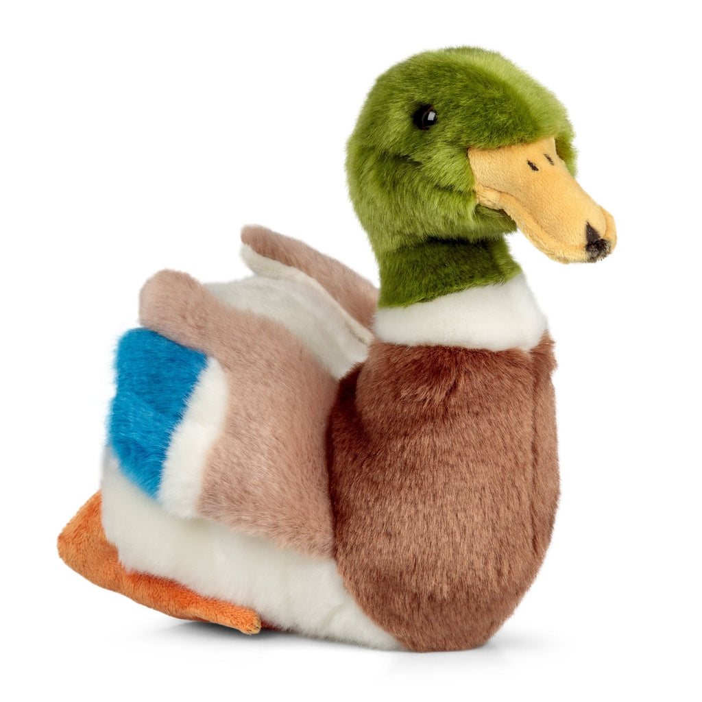 Peluche Animigos Canard Colvert