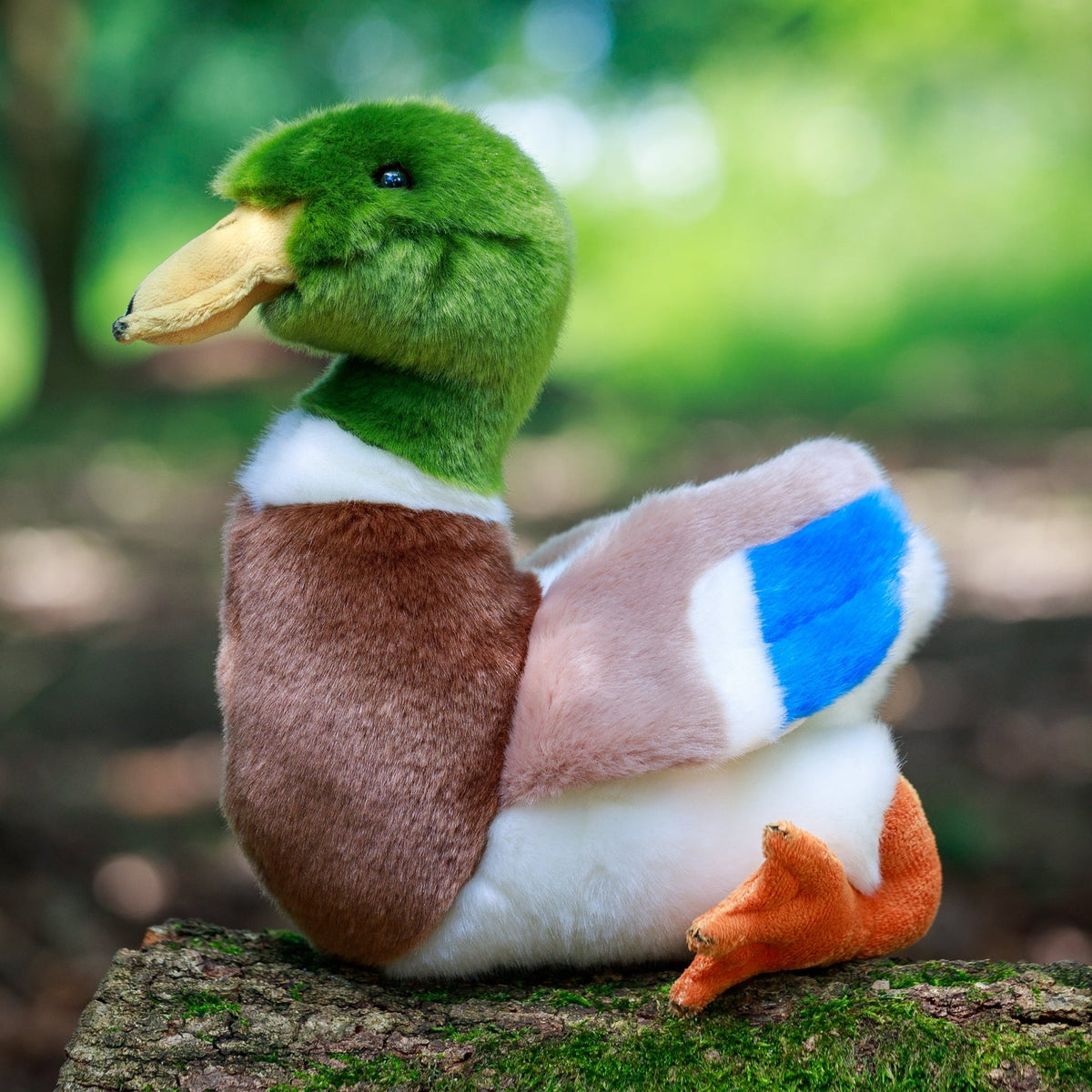 Peluche Animigos – Canard Colvert