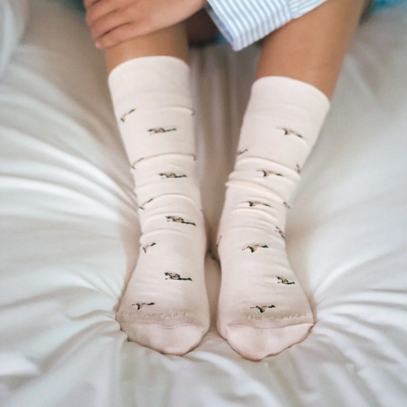 chaussettes-canards-colverts-the-captain-socks