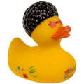 Canard Disco Fever