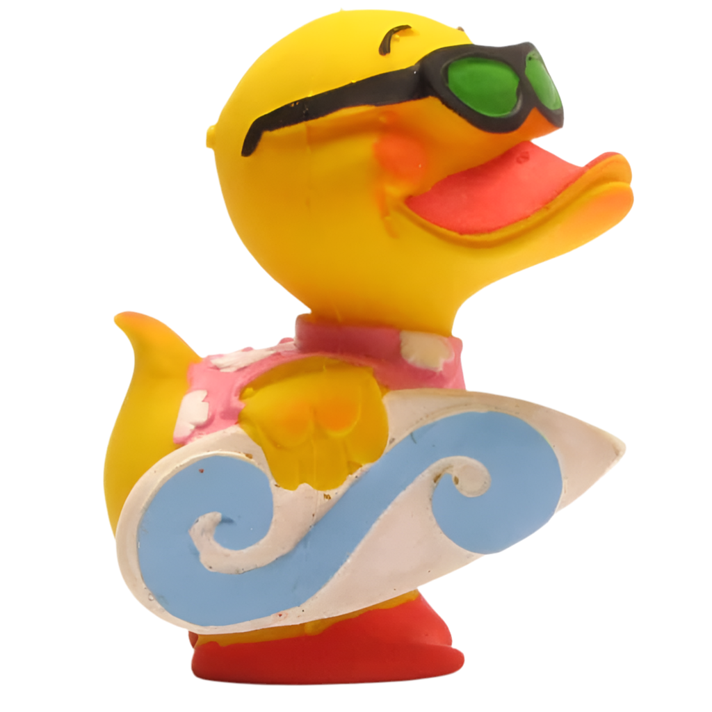 Surfer-Ente