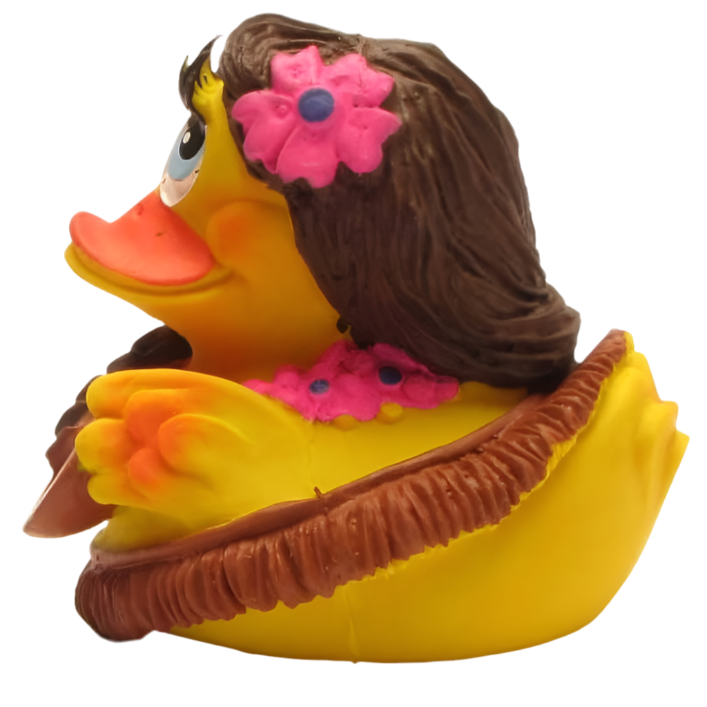 Canard Hawaïenne