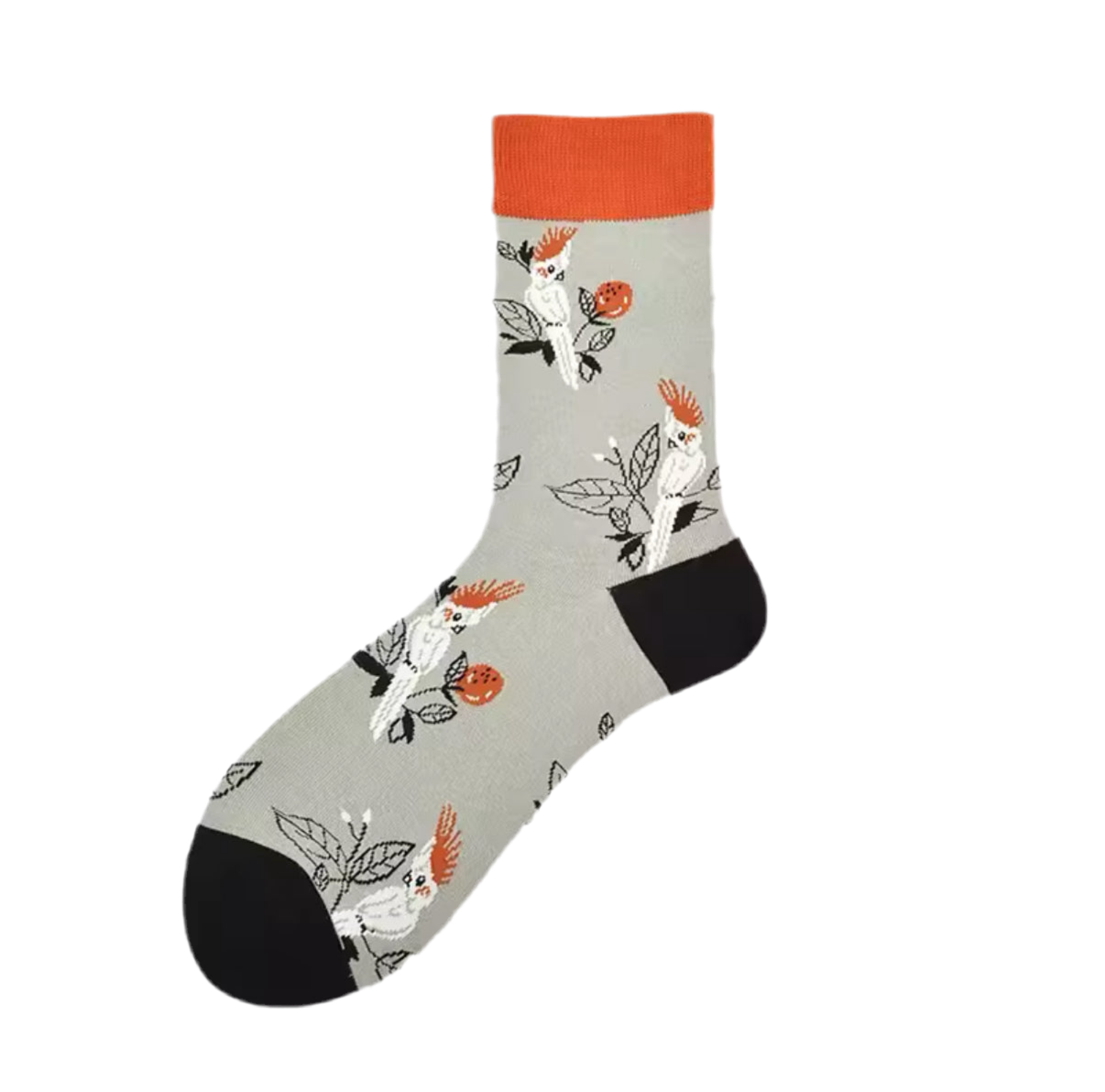 Chaussettes Grises Cacatoès