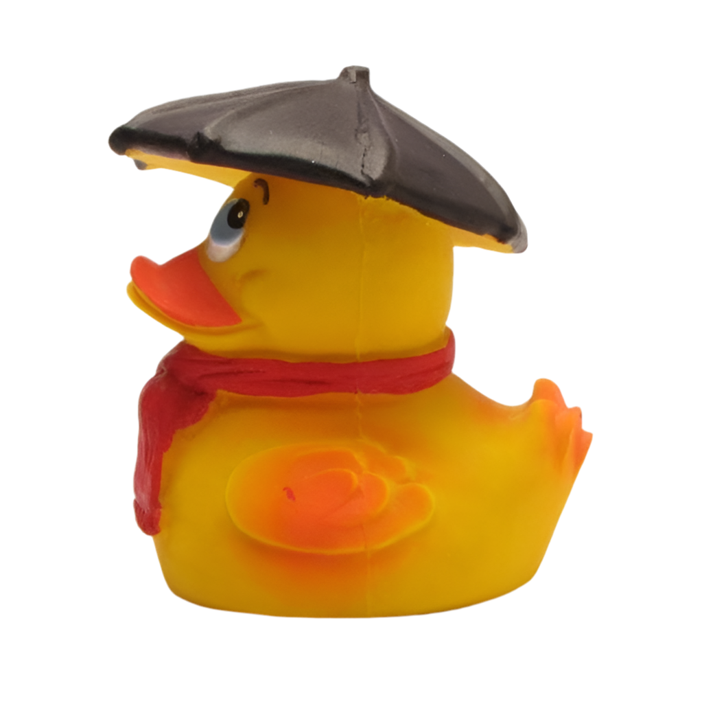 Canard Temps de Pluie