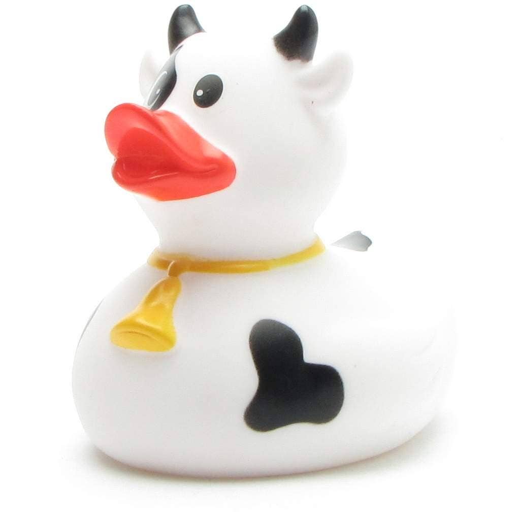 Canard Vache noire et blanche