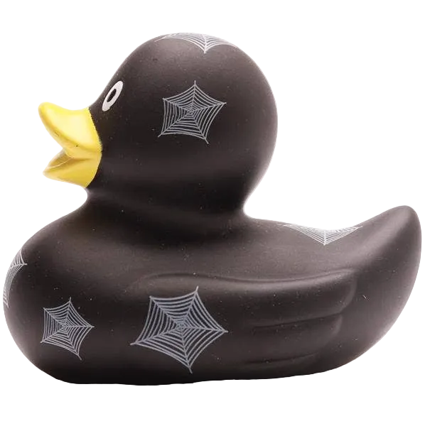 Canard Toile d'araignée