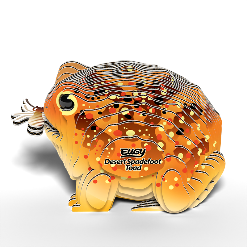 EUGY 3D - Crapaud Du Désert