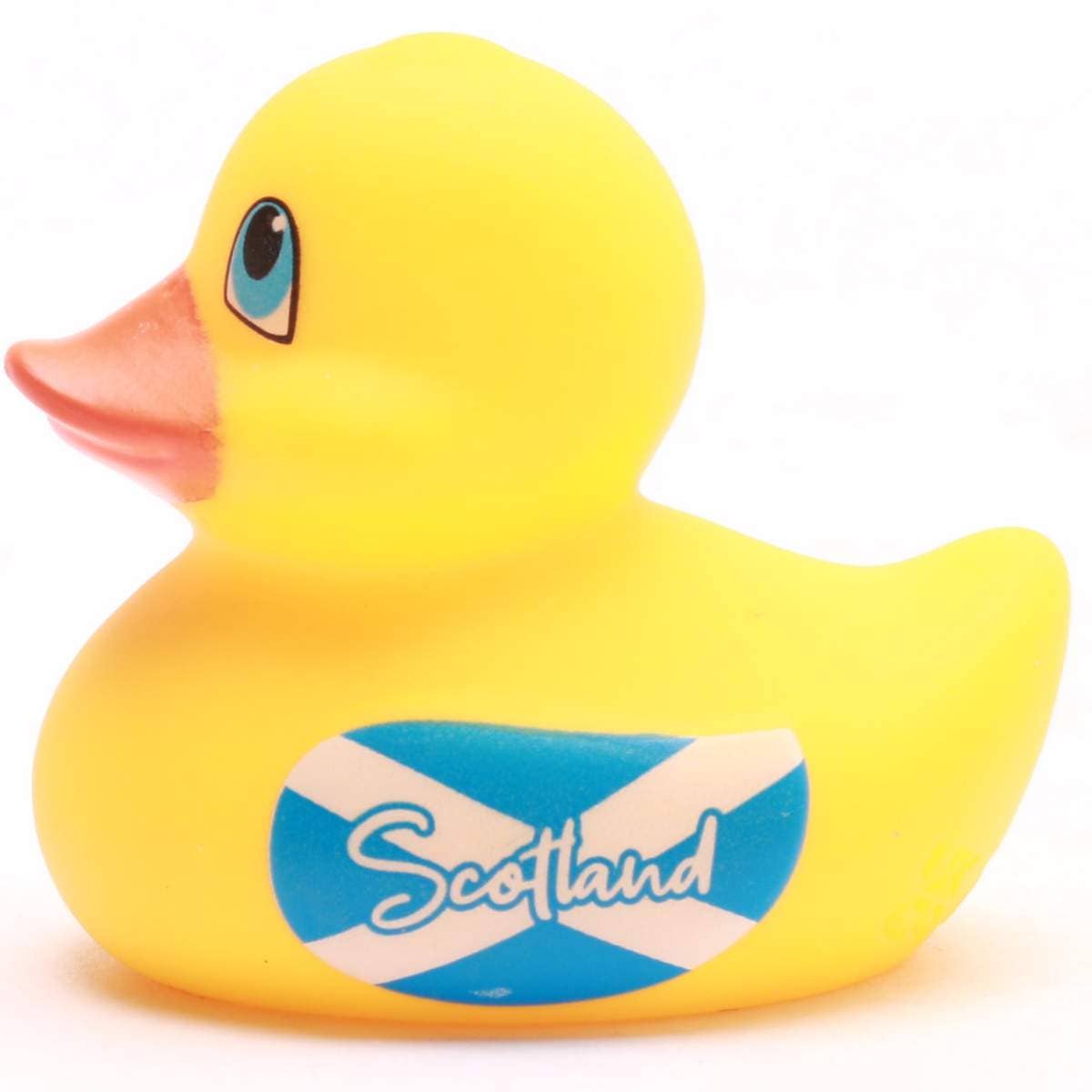 Mini Canard Écosse