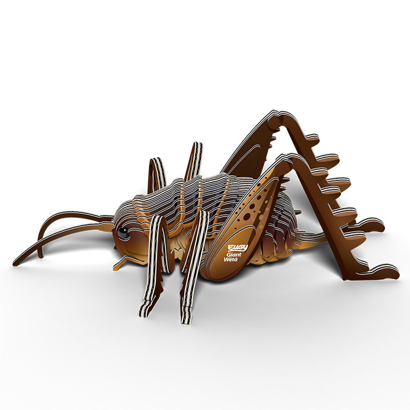 EUGY 3D - Sauterelle