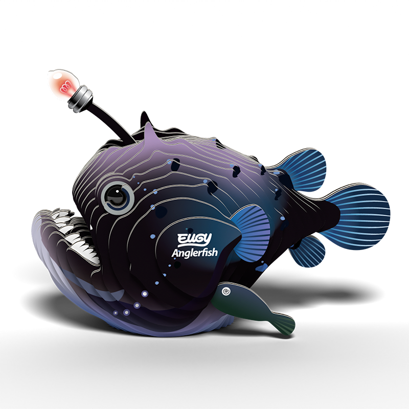 EUGY 3D - Lotte De Mer