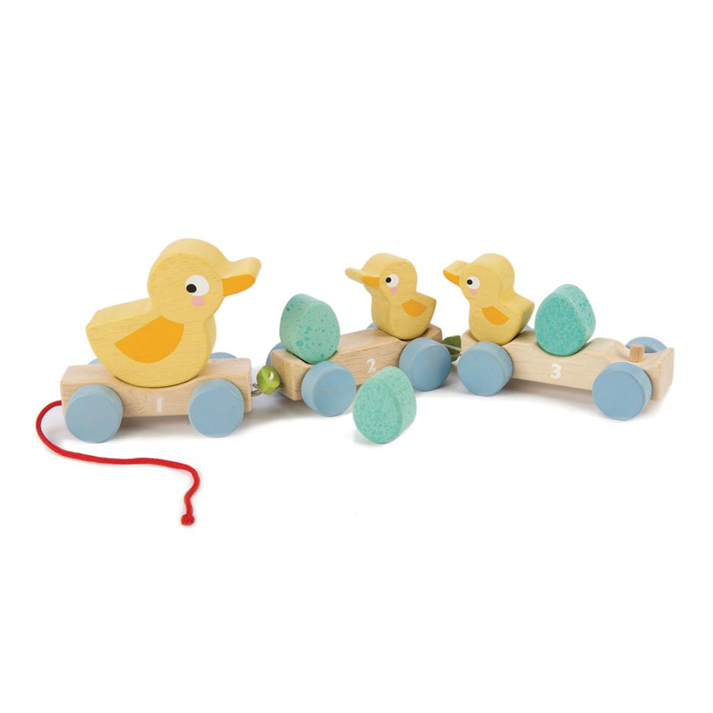 Duck Family.