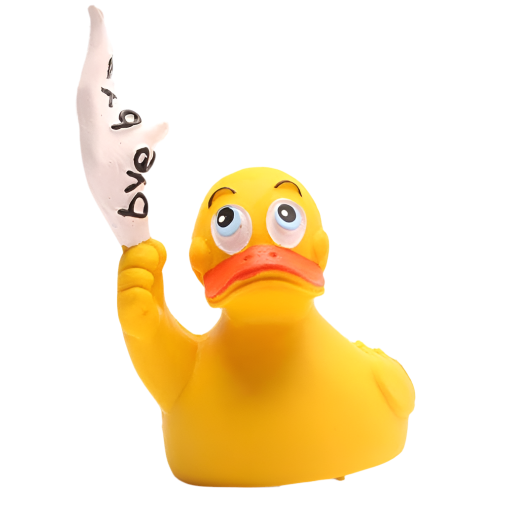 Canard Bye Bye