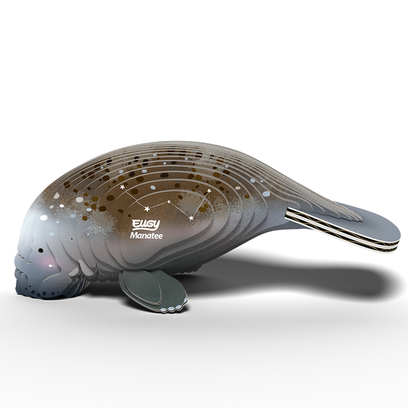 EUGY 3D - Lamantin