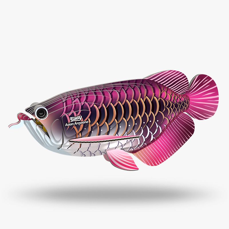 EUGY 3D - Poisson Dragon