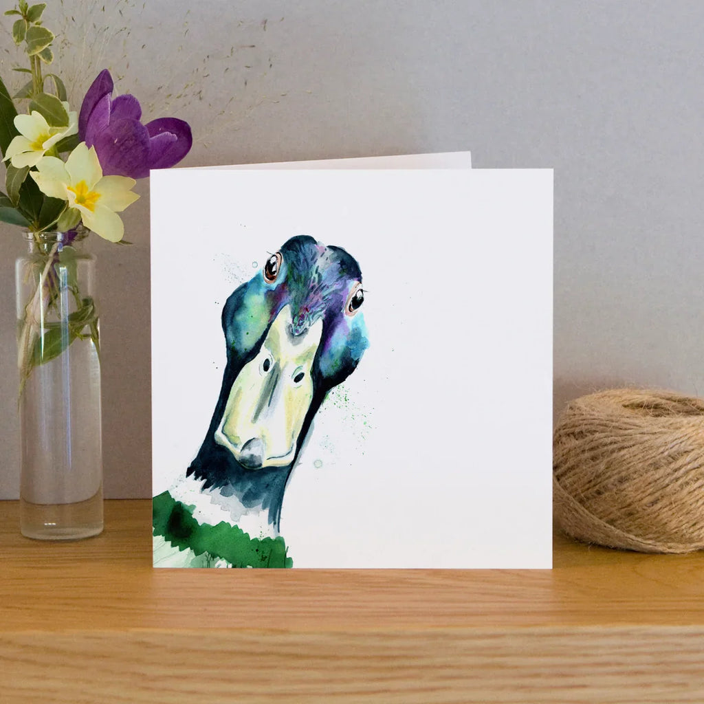 carte-de-voeux-aquarelle-canard-colvert-kate-moby