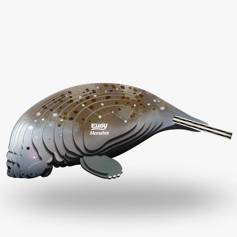EUGY 3D - Lamantin