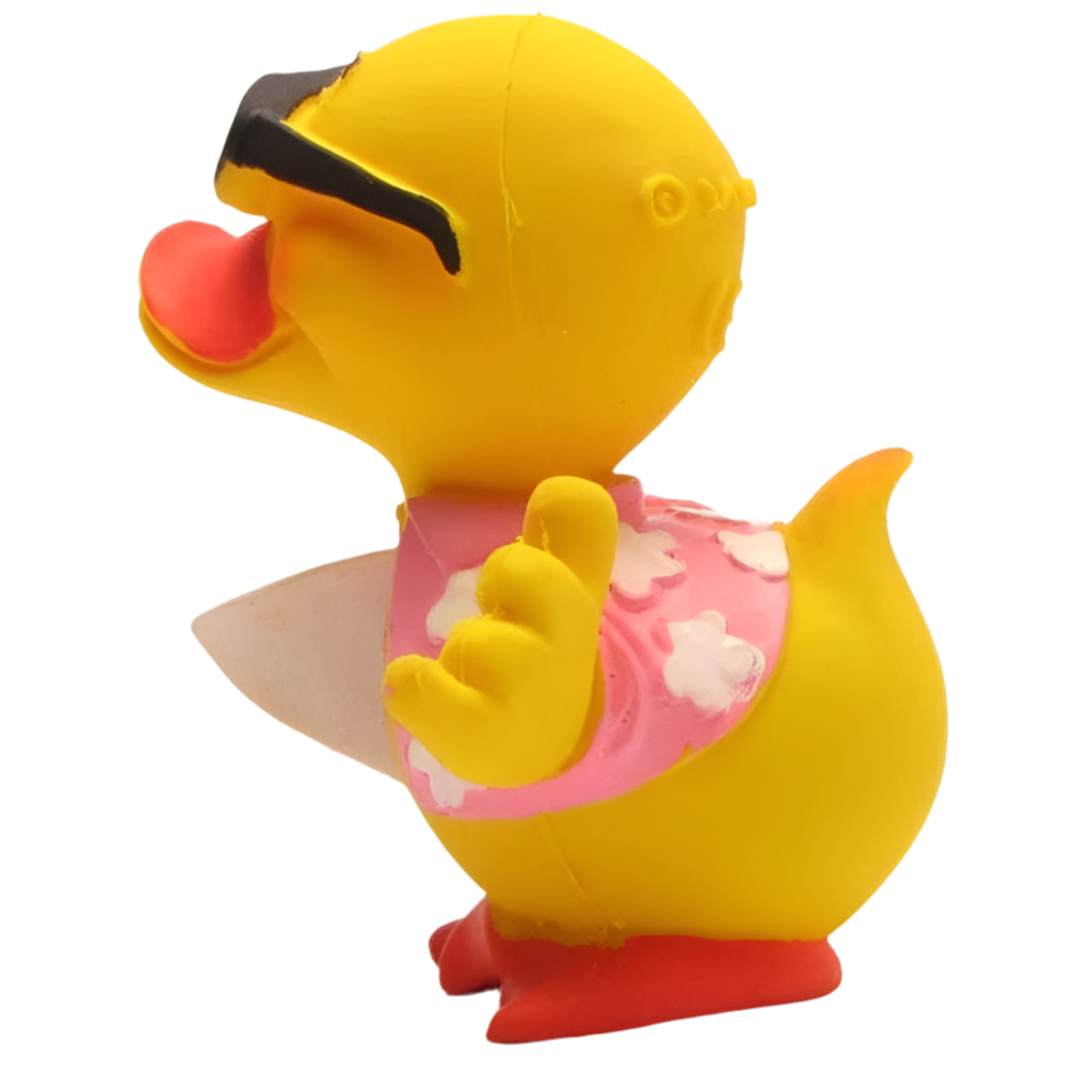 Surfer Duck