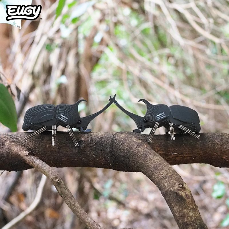 EUGY 3D - Scarabée Rhinocéros