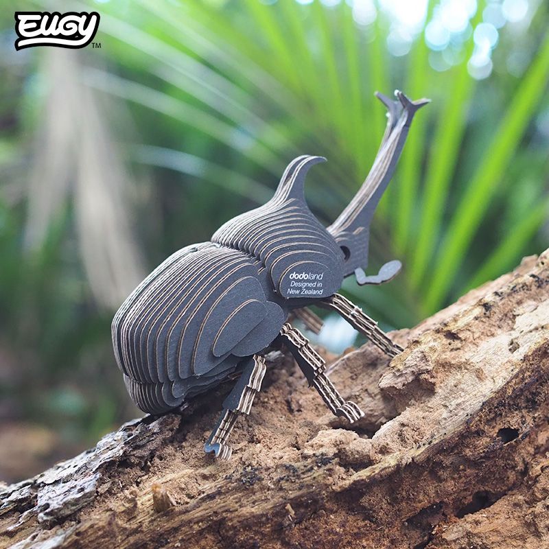 EUGY 3D - Scarabée Rhinocéros