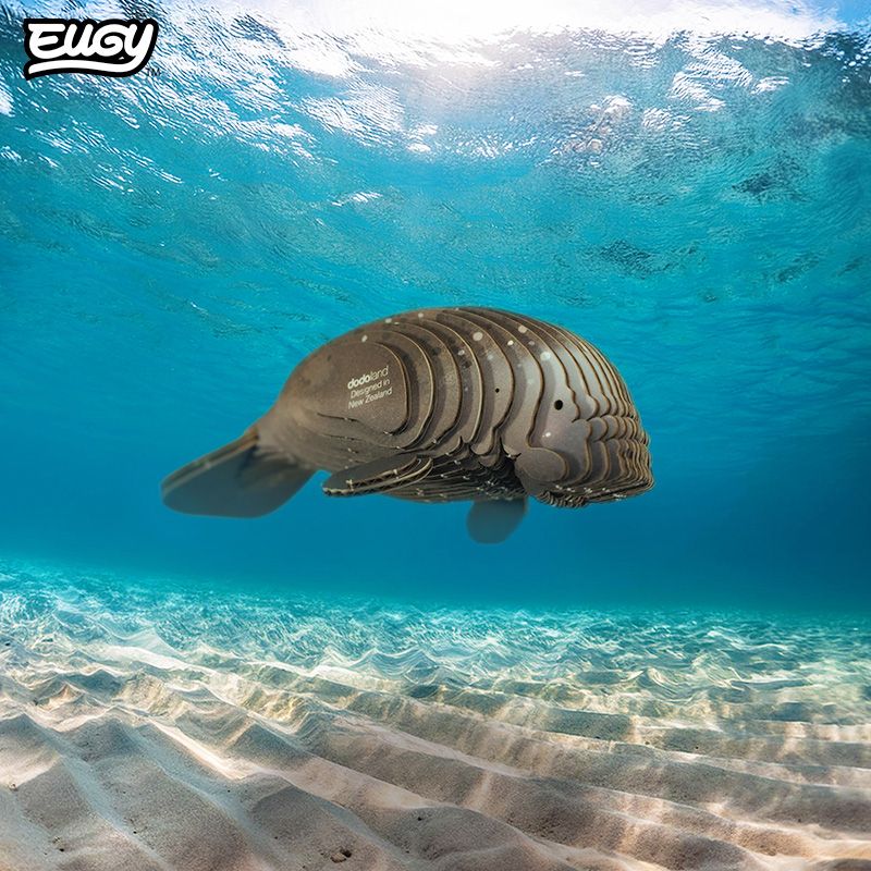 EUGY 3D - Lamantin