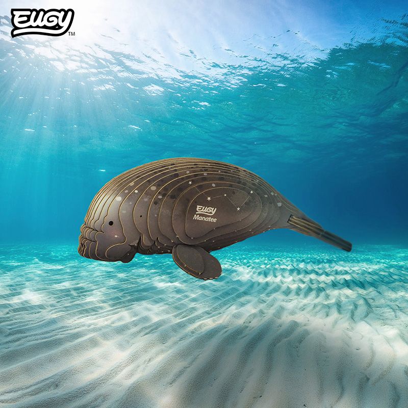 EUGY 3D - Lamantin