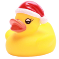 Kleine Weihnachtsente