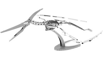 Pteranodon Squelette