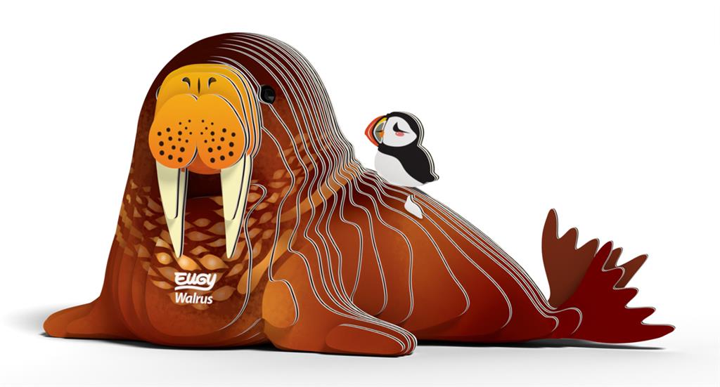 EUGY 3D - Morse