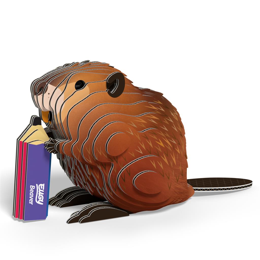 EUGY 3D - Castor