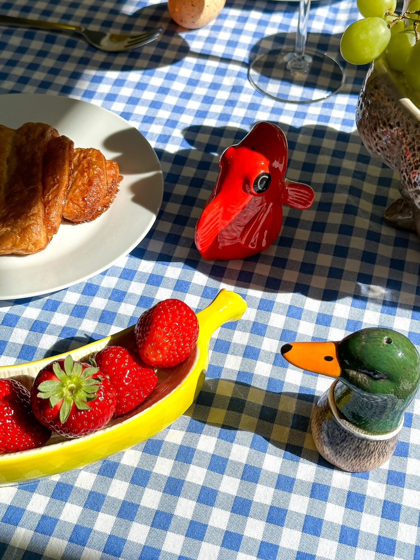 Sůl a kachna colvert kachna