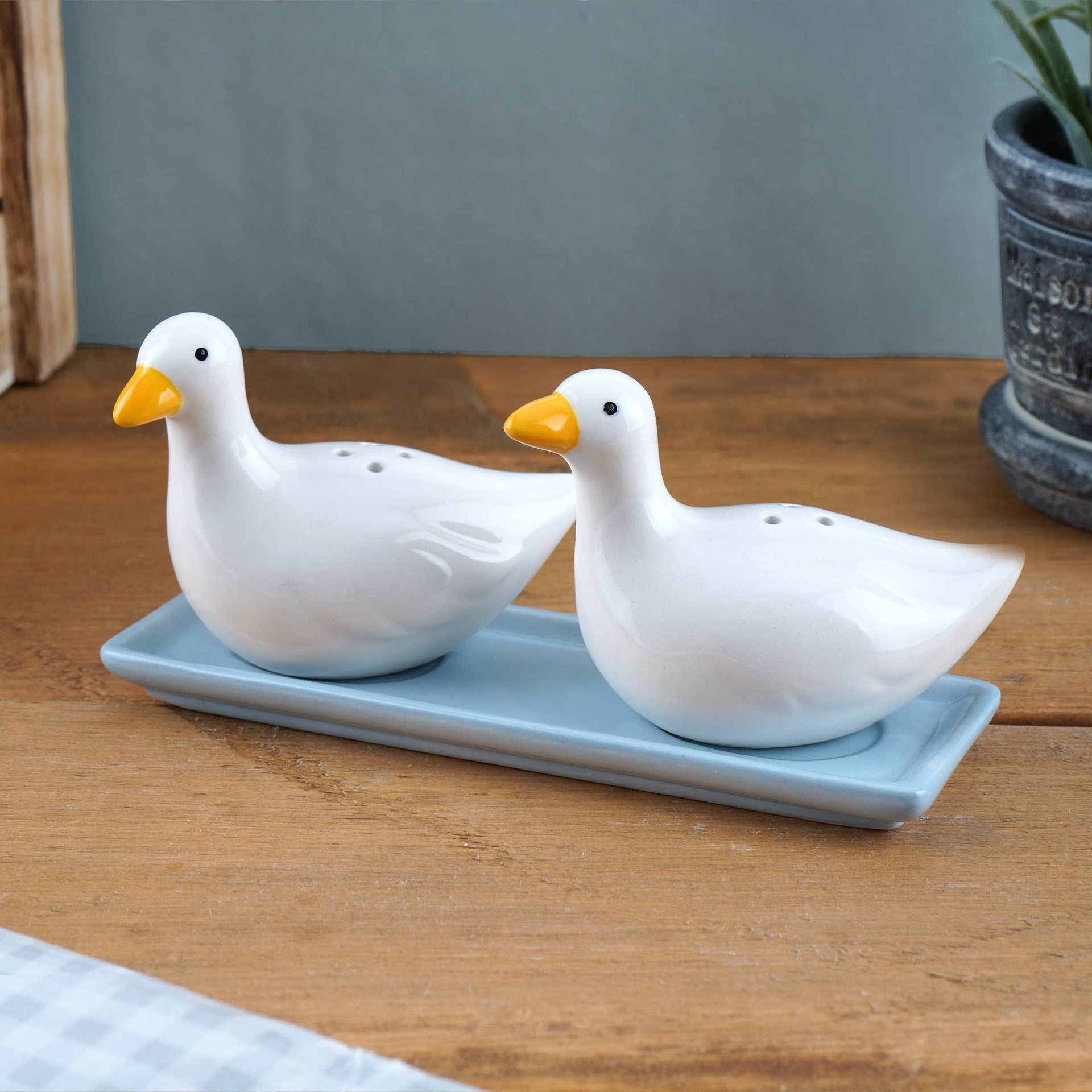 Salt and pepper White Ducks