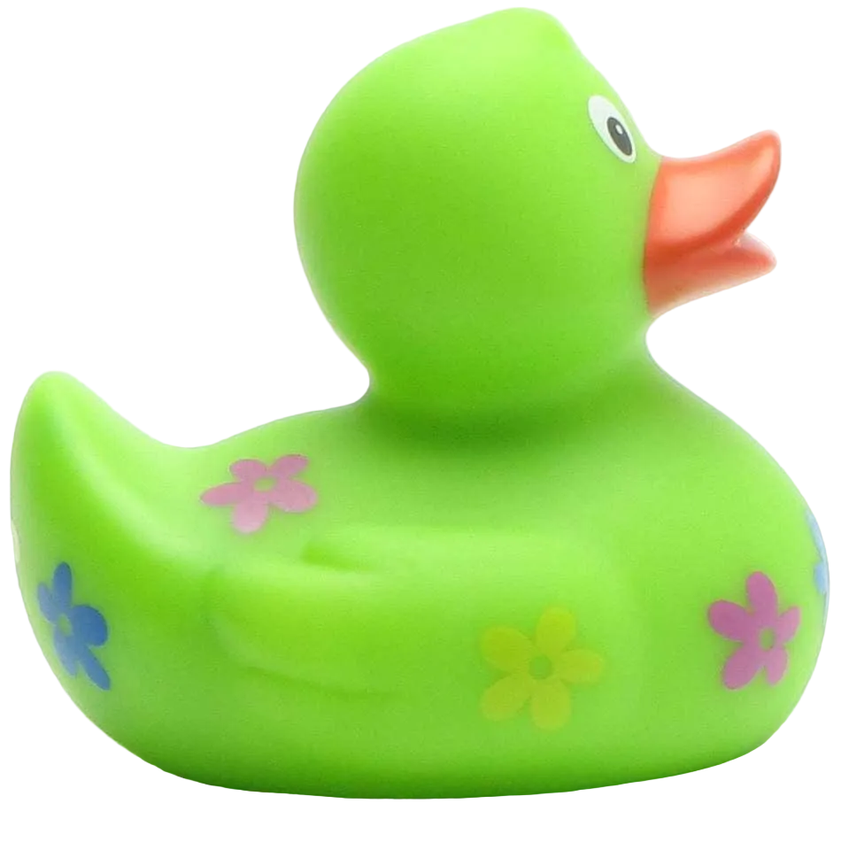 Floral Duck