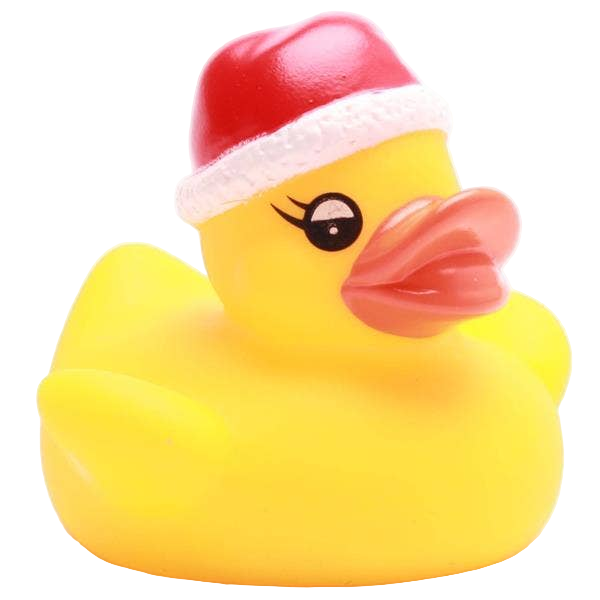 Kleine Weihnachtsente