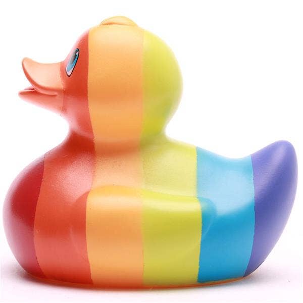Regenbogenente