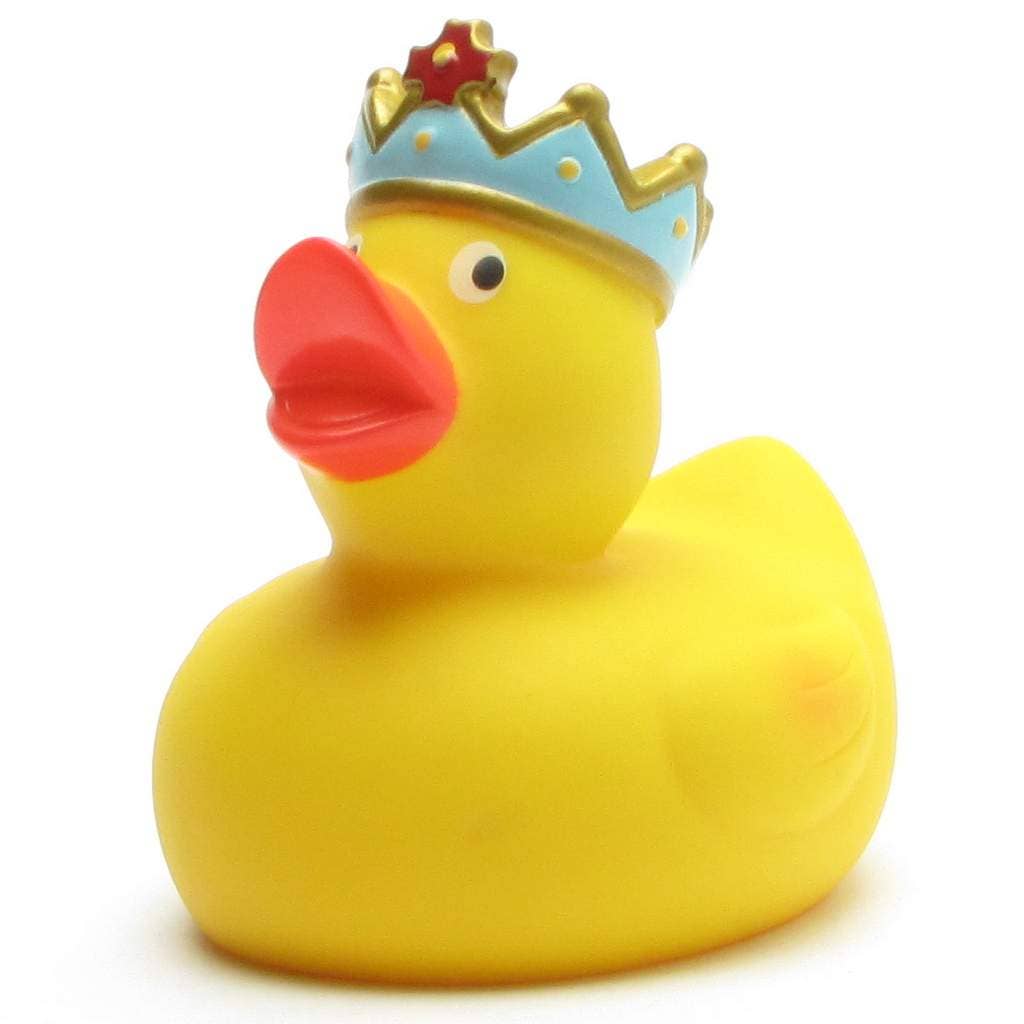 Canard Roi