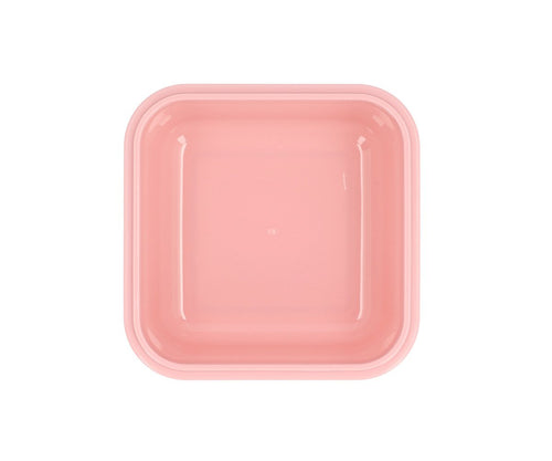 Insekten-Lunchbox