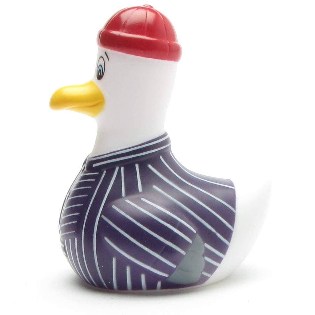 Möwe