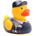 Canard Bricoleur Bleu