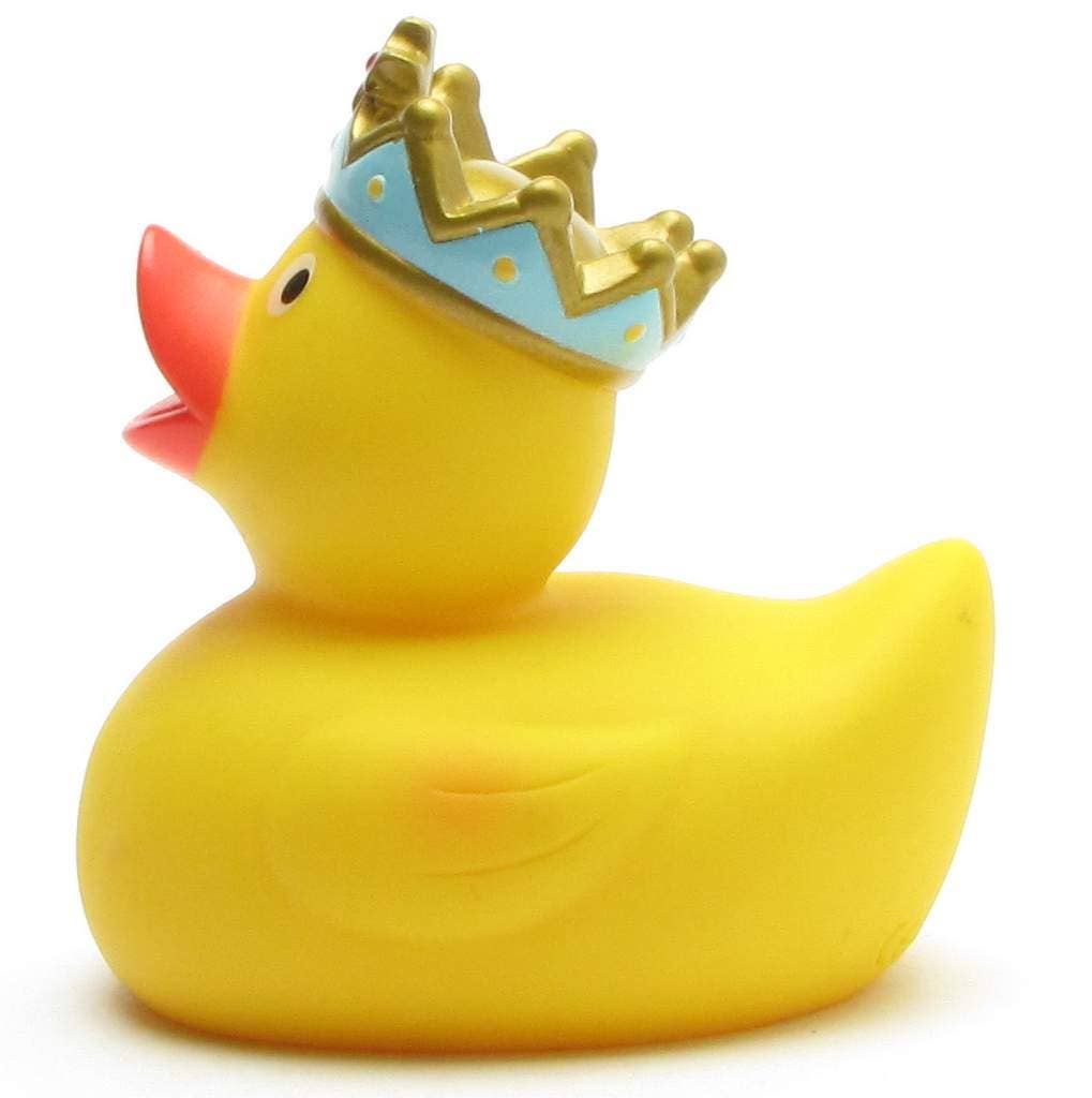 Canard Roi