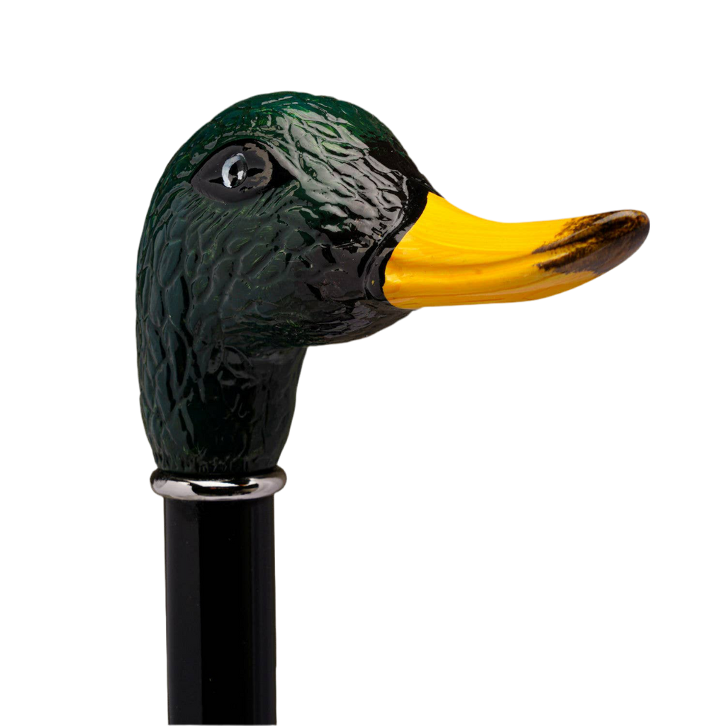 Canne Canard Colvert