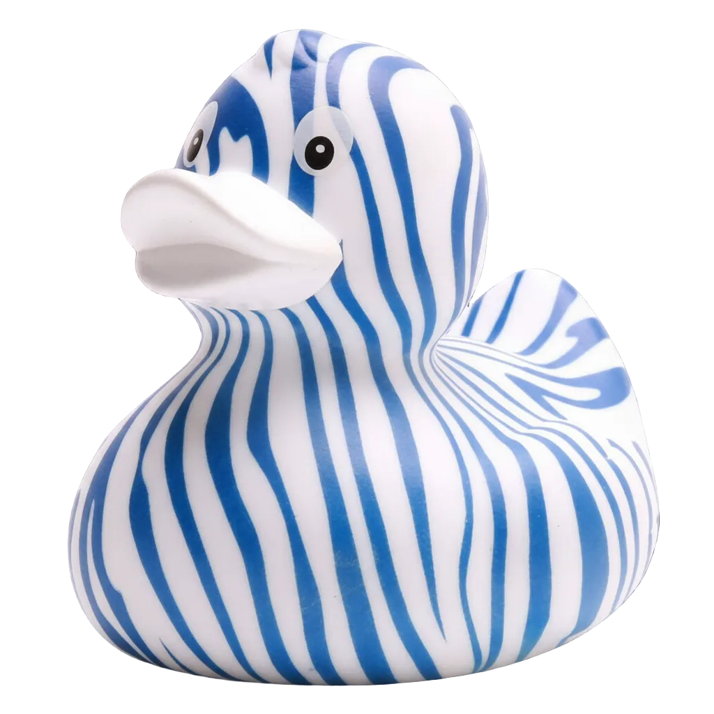 Zebra Duck - Blue