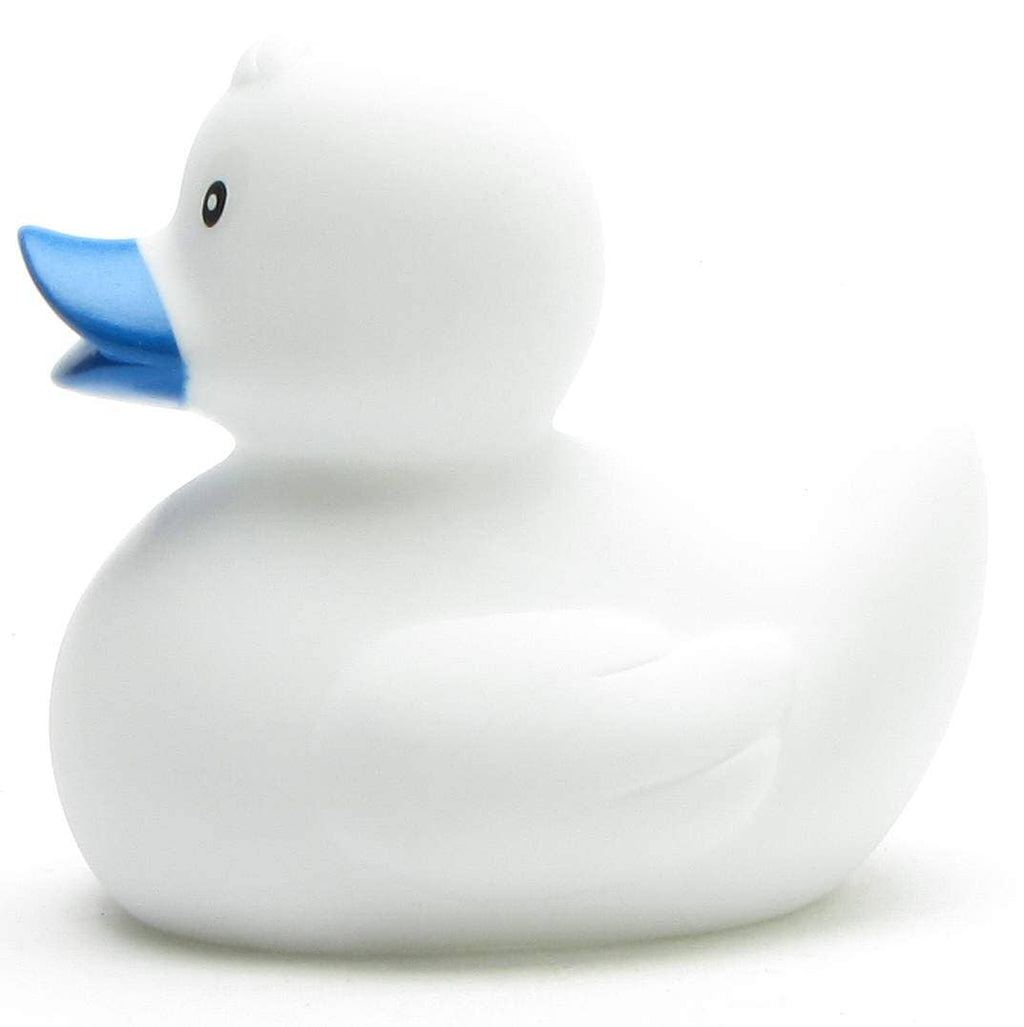 canard classique blanc 1