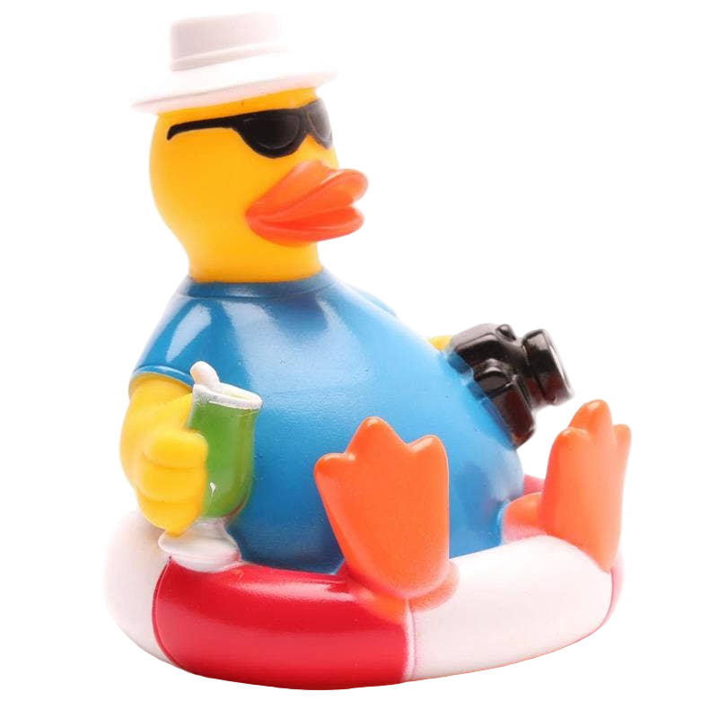 Tourist Duck on a Buoy