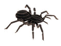 Modèle En Papier 3D - Tarantule