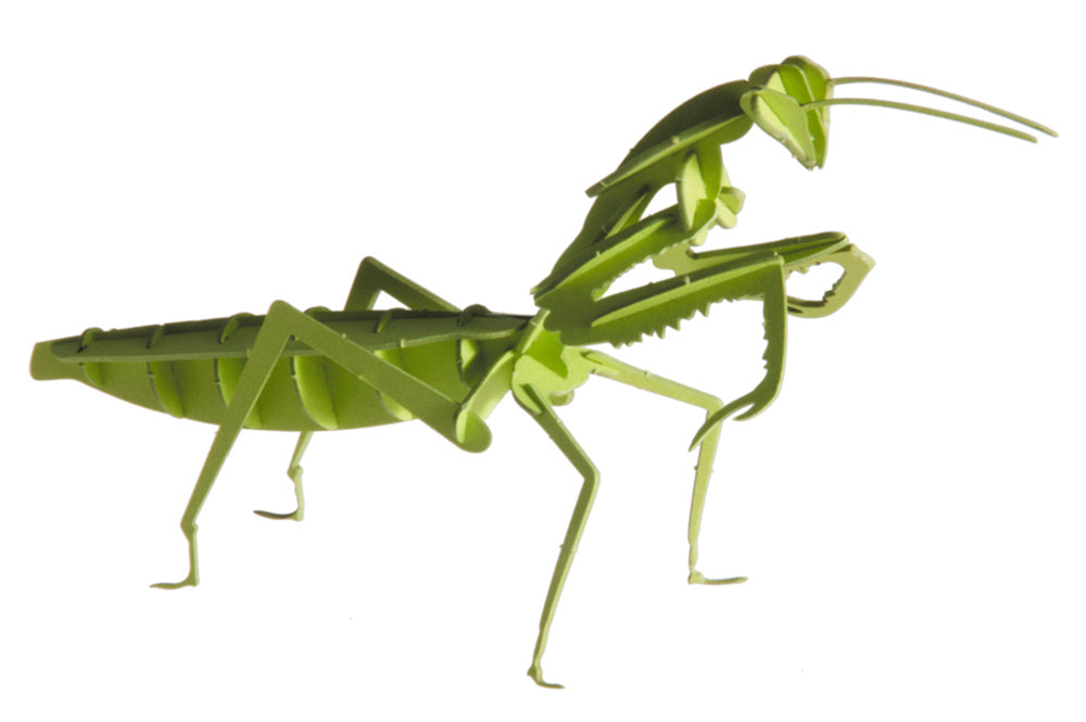Modèle En Papier 3D - Prince Priant
