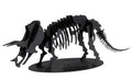 Modèle En Papier 3D - Triceratops