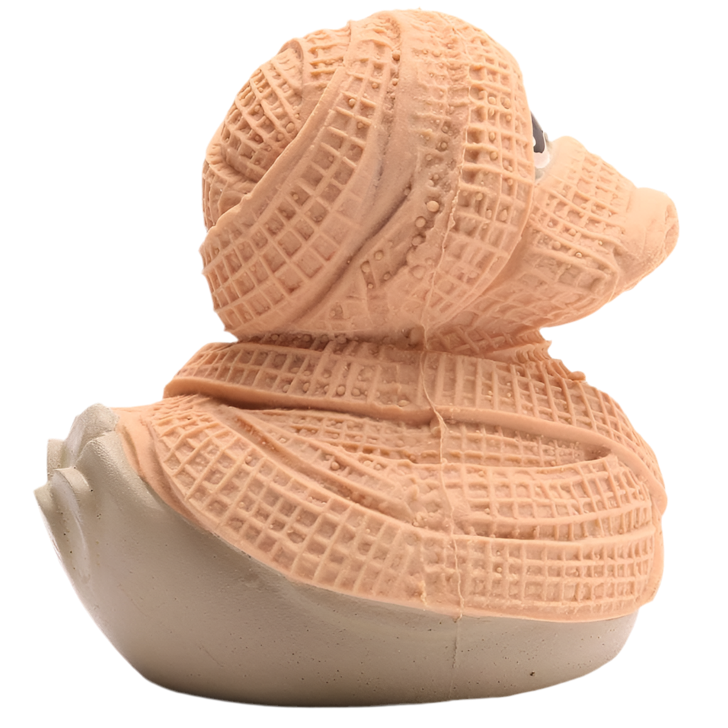 Mummy Duck