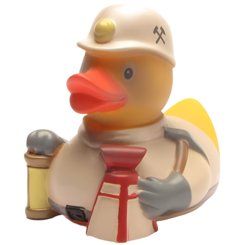 Canard Mineur – vue produit 1