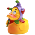 Canard Arlequin