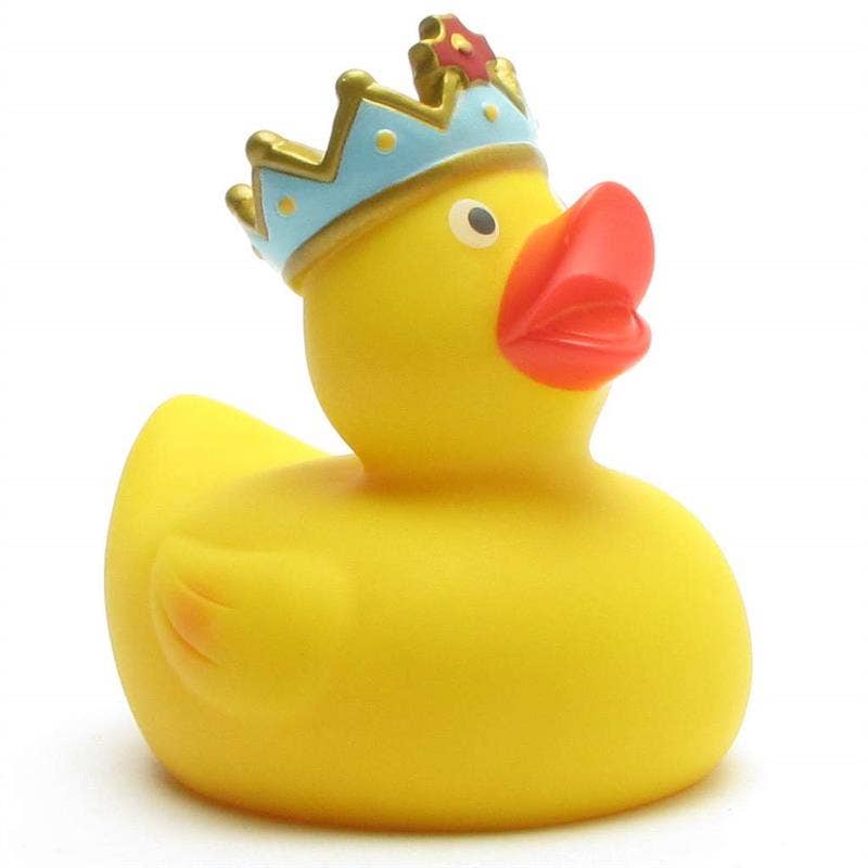 Canard Roi